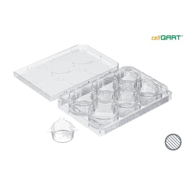 cellQART 6-Well Cell Culture Insert Pre-loaded in Well Plate, PET, 0.4um, Clear extended culture, 4 Well Plates/pk
