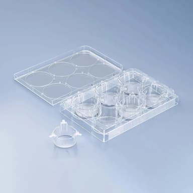 cellQART 6-Well Cell Culture Insert Pre-loaded in Well Plate, PET, 1.0um, Translucent, 4 Well Plates/pk