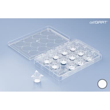 CellQART 12-Well Cell Culture Insert Pre-loaded in Well Plate, PET, 0.4um, Translucent, 4 Well Plates/pk