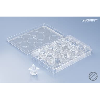 CellQART 12-Well Cell Culture Insert Pre-loaded in Well Plate, PET, 0.4um, Clear, 4 Well Plates/pk