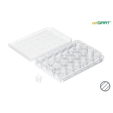 cellQART 24-Well Cell Culture Insert Half Pre-loaded in Well Plate, PET, 0.4um, Clear, 4 Well Plates/pk