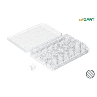 cellQART 24-Well Cell Culture Insert Half Pre-loaded in Well Plate, PET, 0.4um, Clear extended culture, 4 Well Plates/pk