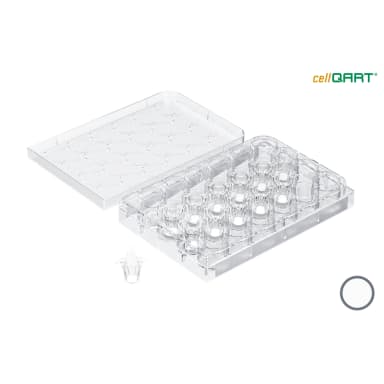 cellQART 24-Well Cell Culture Insert Half Pre-Loaded in Well Plate, PET, 1.0um, Translucent, 4 Well Plates/pk