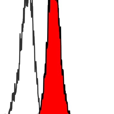 Rabbit anti-HdmX/MDM4 Recombinant Monoclonal Antibody [BL-3-2F2]
