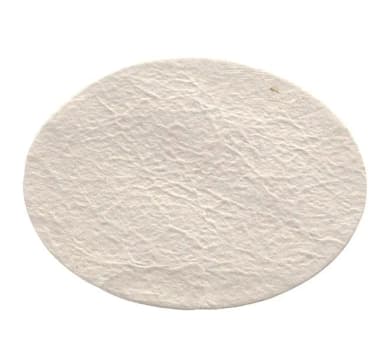 Prefilter Glass-Fiber Thin NS 50 mm