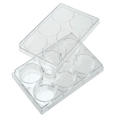 Multiple Well Plates – TCT