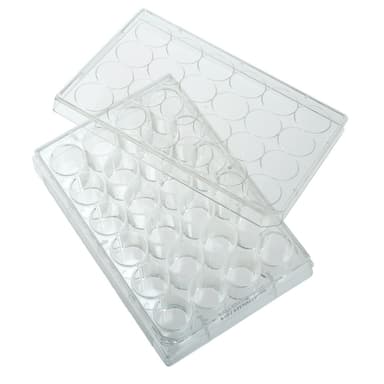Multiple Well Plates – Non-treated