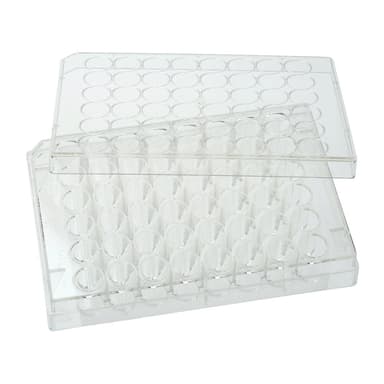 Multiple Well Plates – TCT