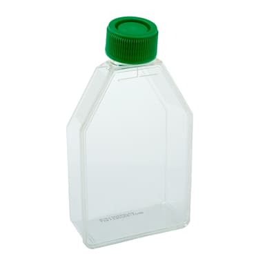 75cm2 Tissue Culture Flask – Plug Seal Cap, Sterile