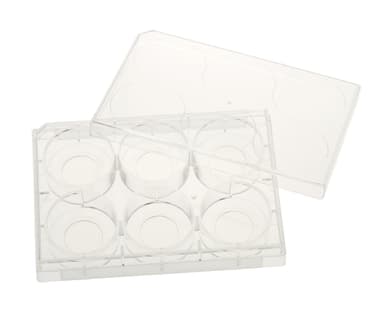 Multiple Well Plates – TCT, Glass Bottom
