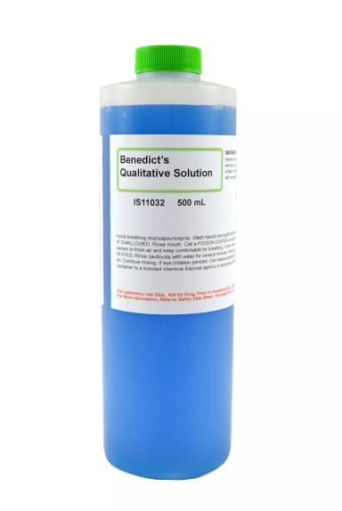 BENEDICT'S QUALITATIVE SOLN 500ML