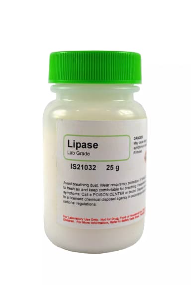 LIPASE LAB GRADE 25G