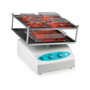 Platform for rocker