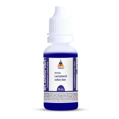 Lactophenol Cotton Blue