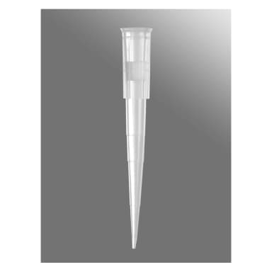 Axygen 200µL Universal Fit Filter Tips, Clear, Bulk Pack, 1000 Tips/Pack, 10 Packs/Case.