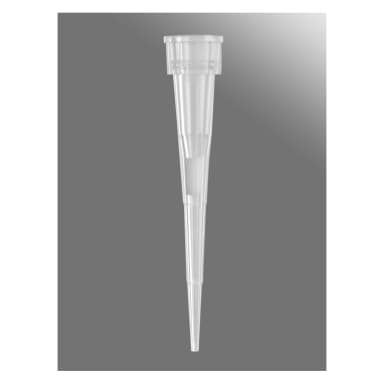 Axygen 10µL Microvolume, Gilson-Style P2/P10 Filter Tips, Clear, Non-Sterile, Bulk Pack, 1000 Tips/Pack, 10 Packs/Case.