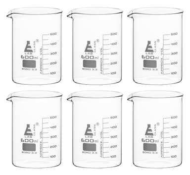 6PK Beakers, 600ml - Low Form with Spout - White, 50ml Graduations - Borosilicate 3.3 Glass