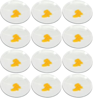 12PK Watch Glasses, 6" (15cm) - Cover Lids for Beakers & Flasks - Evaporation Dish - Polished with Ground Edges