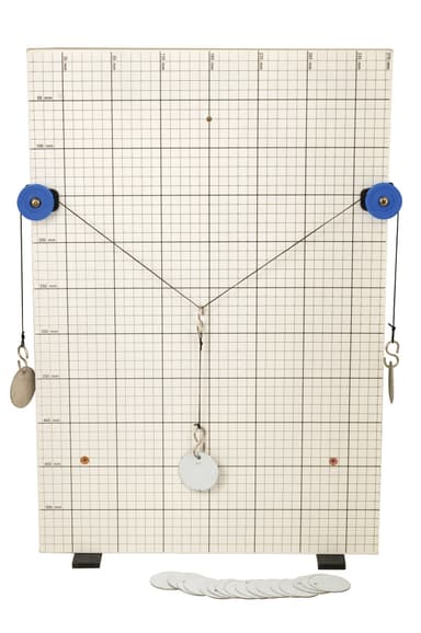 Vector and Force Board Study Apparatus
