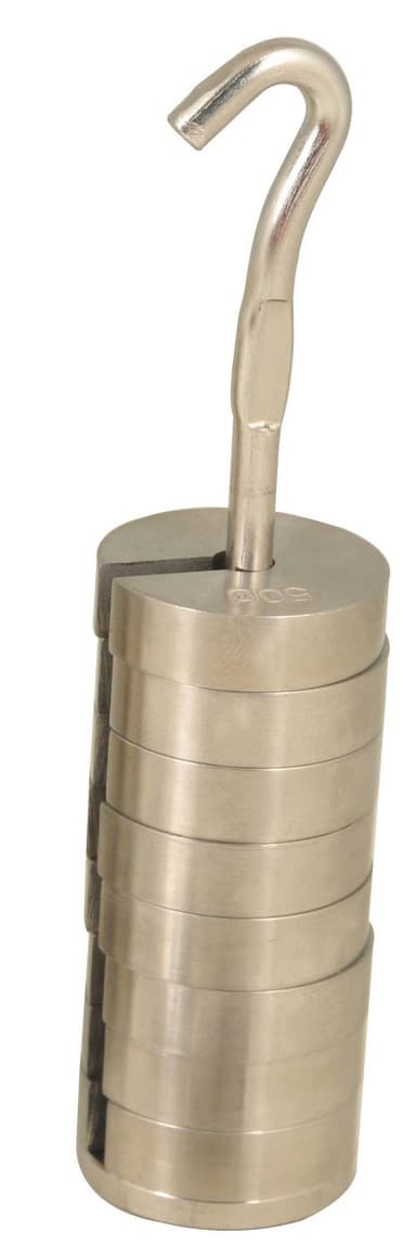 Stainless Steel Slotted Set of Masses with Hanger - 9 Weights - 100g