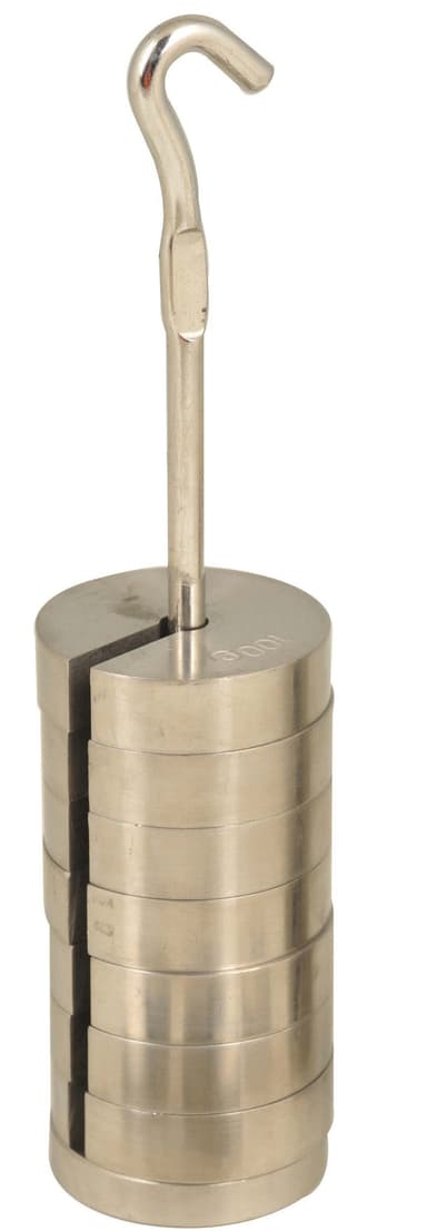 Slotted Mass Set with Hanger - Stainless Steel - 9 Weights Totaling 500g