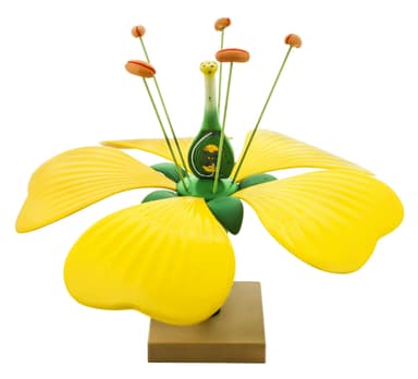Typical Flower Model