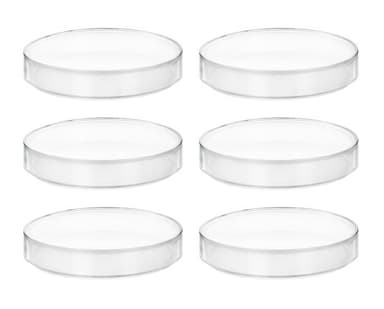6PK Plastic Petri Dishes with Lids - 6" Diameter, 0.75" Depth - Molded in Polypropylene - Reusable - Translucent