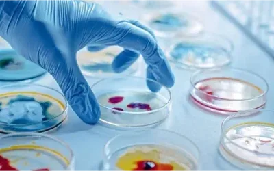 Microbiology Lab